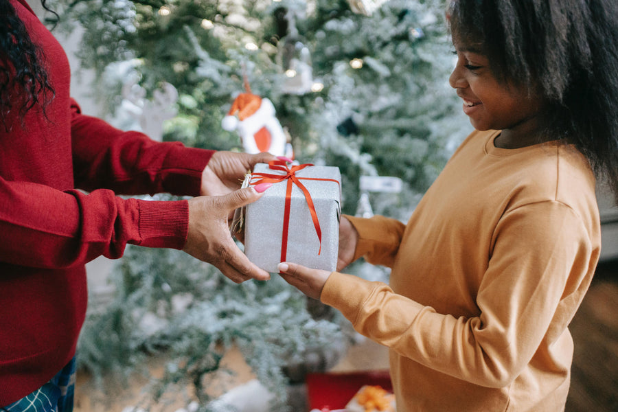 2021 Holiday Gift Guide from Parent Like a Professional